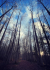 Filename=142-5.jpg
Filesize=659KiB
Dimensions=1440x1795
Date added=Feb 12, 2023 142-5.jpg
