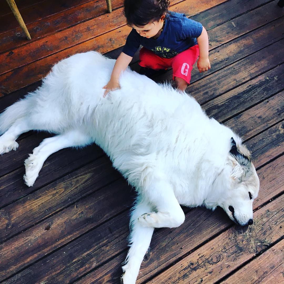 2016-009.jpg