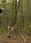 vampirediariesworld-dot-nl_BigSky2x05-0393.jpg