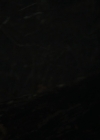 Filename=VampireDiariesWorld-dot-nl-LawAndOrder-OrganisedCrime3x14-0541.jpg
Filesize=78KiB
Dimensions=720x400
Date added=Mar 13, 2024 VampireDiariesWorld-dot-nl-LawAndOrder-OrganisedCrime3x14-0541.jpg