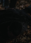 Filename=VampireDiariesWorld-dot-nl-LawAndOrder-OrganisedCrime3x14-0677.jpg
Filesize=99KiB
Dimensions=720x400
Date added=Mar 13, 2024 VampireDiariesWorld-dot-nl-LawAndOrder-OrganisedCrime3x14-0677.jpg