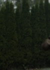 Filename=VampireDiariesWorld-dot-nl_ProjectBlueBook1x07-02014.jpg
Filesize=370KiB
Dimensions=1280x640
Date added=Mar 25, 2020 VampireDiariesWorld-dot-nl_ProjectBlueBook1x07-02014.jpg