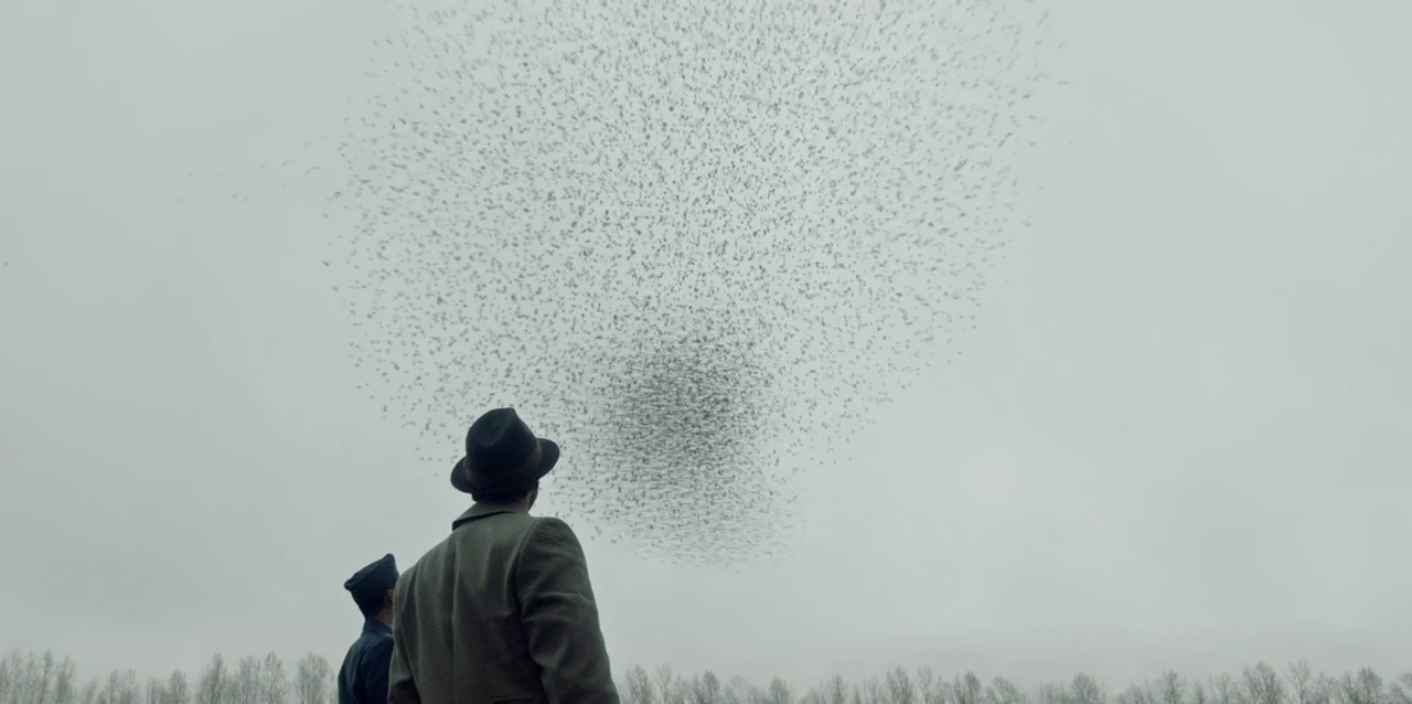 VampireDiariesWorld-dot-nl_ProjectBlueBook1x08-00722.jpg VampireDiariesWorld-dot-nl_ProjectBlueBook1x08-00722.jpg