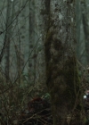 VampireDiariesWorld-dot-nl_ProjectBlueBook1x08-00610.jpg