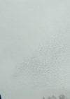 VampireDiariesWorld-dot-nl_ProjectBlueBook1x08-00709.jpg