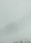 VampireDiariesWorld-dot-nl_ProjectBlueBook1x08-00710.jpg