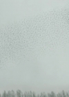 VampireDiariesWorld-dot-nl_ProjectBlueBook1x08-00713.jpg