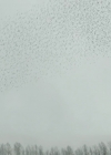 VampireDiariesWorld-dot-nl_ProjectBlueBook1x08-00714.jpg