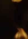 Filename=VampireDiariesWorld-dot-nl_ProjectBlueBook1x10-02368.jpg
Filesize=175KiB
Dimensions=1280x640
Date added=Mar 26, 2020 VampireDiariesWorld-dot-nl_ProjectBlueBook1x10-02368.jpg