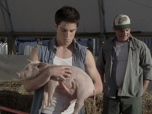 VampireDiariesWorld-dot-nl_CowBelles0557.jpg