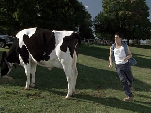 VampireDiariesWorld-dot-nl_CowBelles0690.jpg