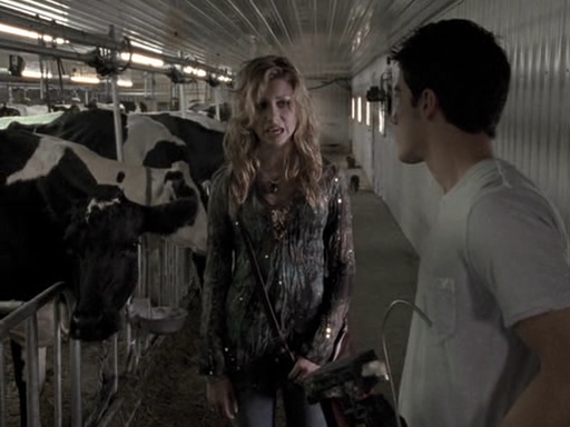 VampireDiariesWorld-dot-nl_CowBelles3699.jpg