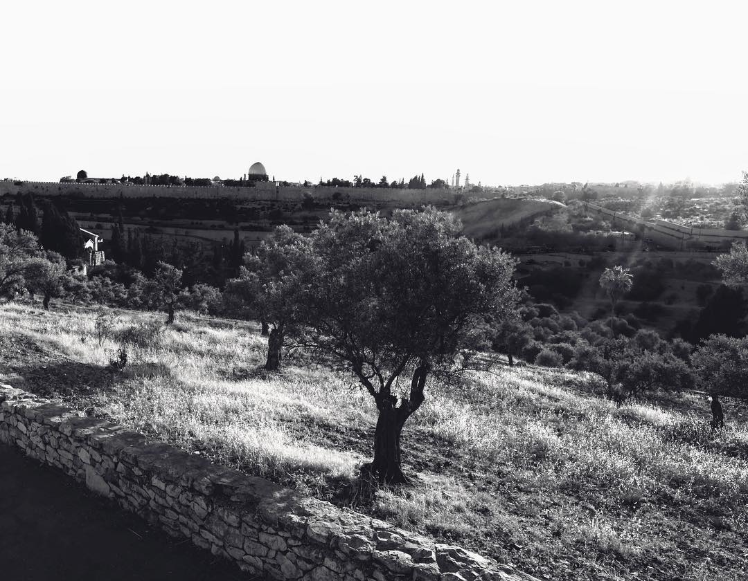 168.jpg