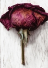 Filename=180.jpg
Filesize=118KiB
Dimensions=1080x1080
Date added=Dec 19, 2019 180.jpg