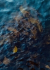 Filename=191.jpg
Filesize=78KiB
Dimensions=1080x720
Date added=Dec 19, 2019 191.jpg