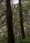 Filename=VampireDiariesWorld-dot-org_Supernatural9x20-2051.jpg
Filesize=622KiB
Dimensions=1280x720
Date added=May 16, 2015 VampireDiariesWorld-dot-org_Supernatural9x20-2051.jpg