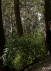 Filename=VampireDiariesWorld-dot-org_Supernatural9x20-2053.jpg
Filesize=605KiB
Dimensions=1280x720
Date added=May 16, 2015 VampireDiariesWorld-dot-org_Supernatural9x20-2053.jpg