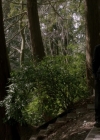Filename=VampireDiariesWorld-dot-org_Supernatural9x20-2054.jpg
Filesize=641KiB
Dimensions=1280x720
Date added=May 16, 2015 VampireDiariesWorld-dot-org_Supernatural9x20-2054.jpg