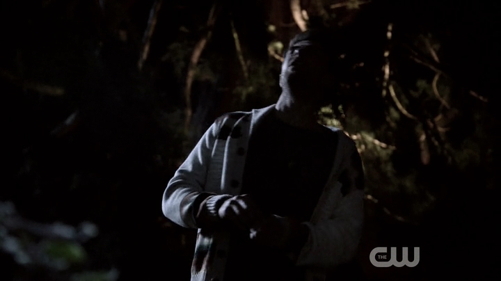 VampireDiariesWorld-dot-nl_SignificantMother-1x05-0553.jpg
