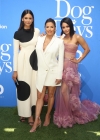 Filename=192.jpg
Filesize=762KiB
Dimensions=2333x3500
Date added=Aug 17, 2018 192.jpg
