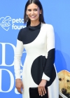 Filename=197.jpg
Filesize=806KiB
Dimensions=1929x2992
Date added=Aug 17, 2018 197.jpg