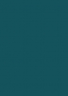 295-2.jpg