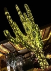Filename=159-7.jpg
Filesize=318KiB
Dimensions=1281x1601
Date added=Jan 12, 2023 159-7.jpg