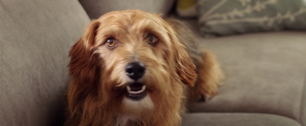VampireDiariesWorld-dot-nl_DogDays5295.jpg