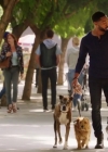 VampireDiariesWorld-dot-nl_DogDays3429.jpg