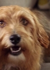 VampireDiariesWorld-dot-nl_DogDays5295.jpg