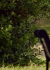 VampireDiariesWorld-dot-org_LetsBeCops1453.jpg