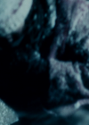vampirediariesworld_dot_org--ThePoet00143.png