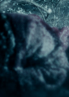 vampirediariesworld_dot_org--ThePoet00144.png