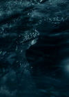 vampirediariesworld_dot_org--ThePoet00164.png