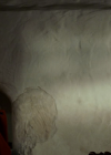 vampirediariesworld_dot_org--ThePoet00458.png
