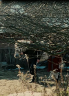 vampirediariesworld_dot_org--ThePoet00567.png