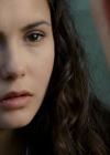 vampirediariesworld_dot_org--ThePoet00595.png