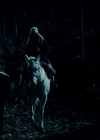 vampirediariesworld_dot_org--ThePoet00833.png