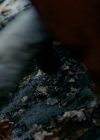 vampirediariesworld_dot_org--ThePoet00853.png