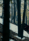 vampirediariesworld_dot_org--ThePoet00855.png