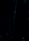vampirediariesworld_dot_org--ThePoet01216.png