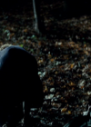 vampirediariesworld_dot_org--ThePoet01255.png