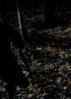 vampirediariesworld_dot_org--ThePoet01256.png