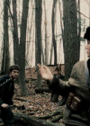 vampirediariesworld_dot_org--ThePoet01959.png