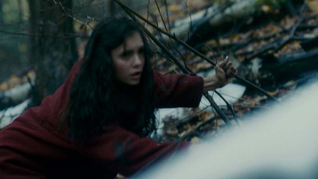 vampirediariesworld_dot_org--ThePoet00860.png
