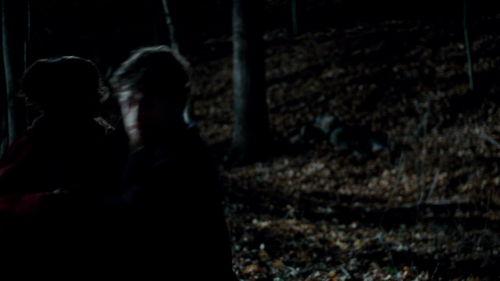 vampirediariesworld_dot_org--ThePoet01257.png