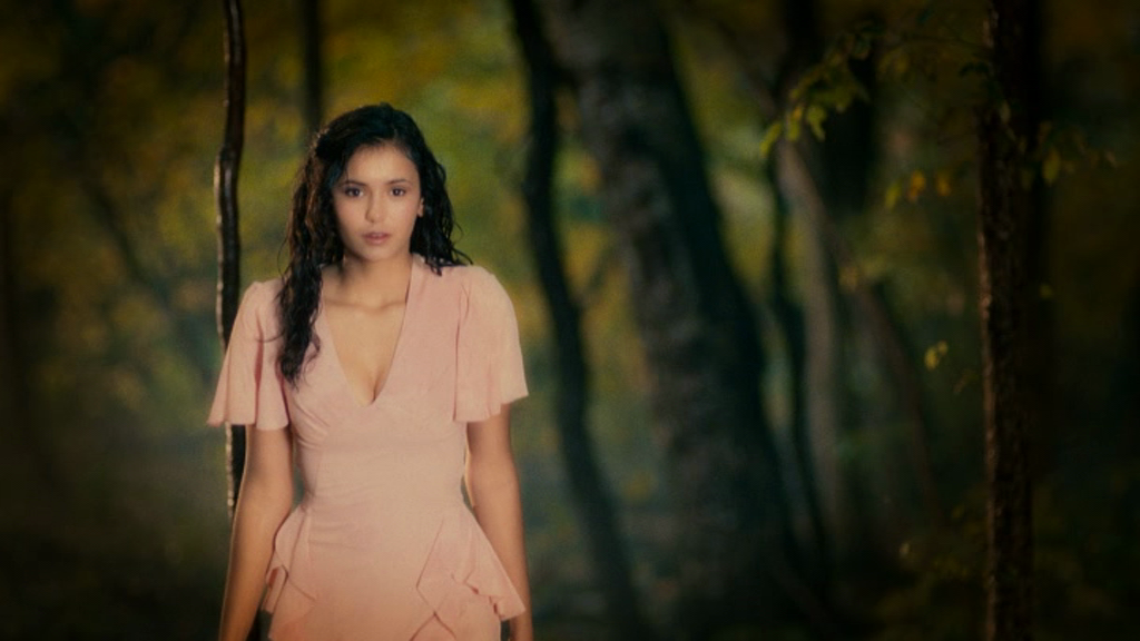 vampirediariesworld_dot_org--ThePoet01258.png