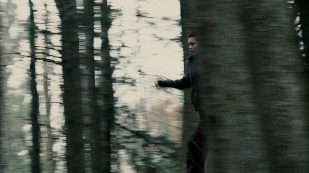 vampirediariesworld_dot_org--ThePoet02054.png
