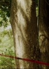 VampireDiariesWorld-dot-org_TheBaytownOutlaws2041.jpg