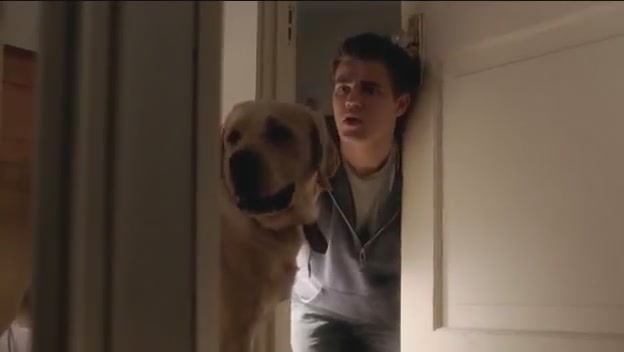 VampireDiariesWorld-dot-org-FallenPart1-1524.jpg